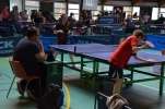 DSC 6031